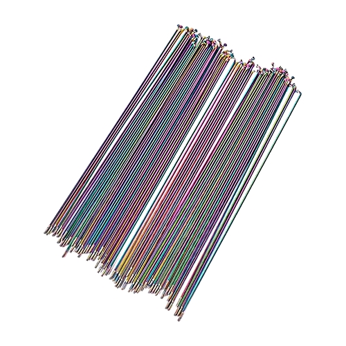 RADIO 24 (14GX235MM) LISTO TORNASOL